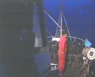 PESCA 34  GANADO